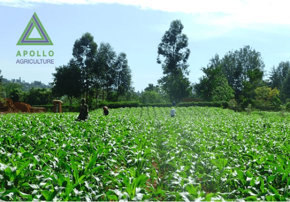 Apollo, Kenya-based Agritech bags $40M to scale Farming across East and West Africa