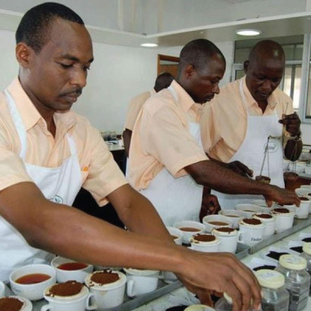 East Africa's Mombasa Tea Auction House Goes Digital