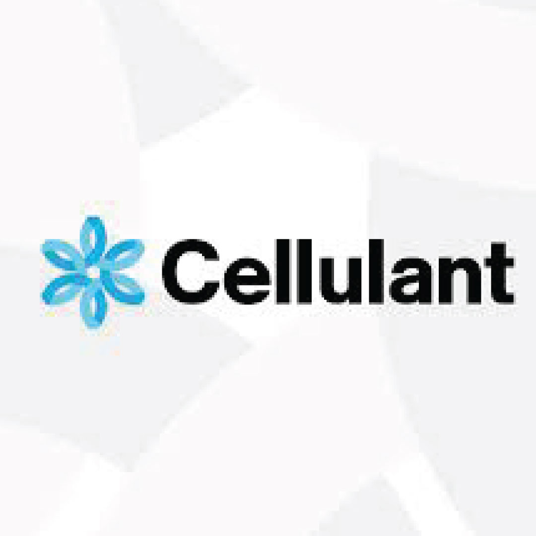 FinTech Cellulant and NALA Release Platform for Cross-Border Payments in Africa