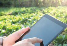 IQ Logistica Offers Mobile App to Assist Farmers