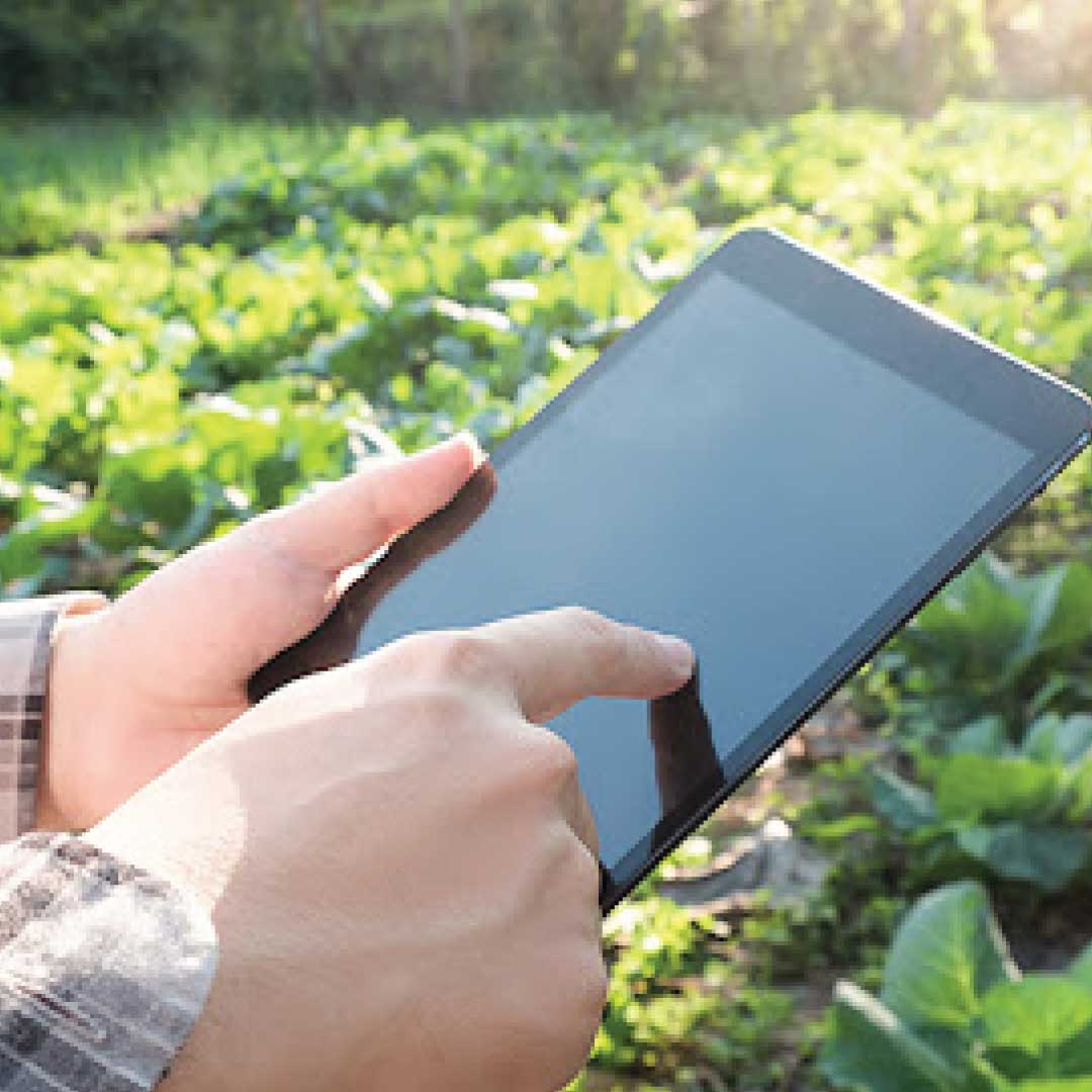 IQ Logistica Offers Mobile App to Assist Farmers