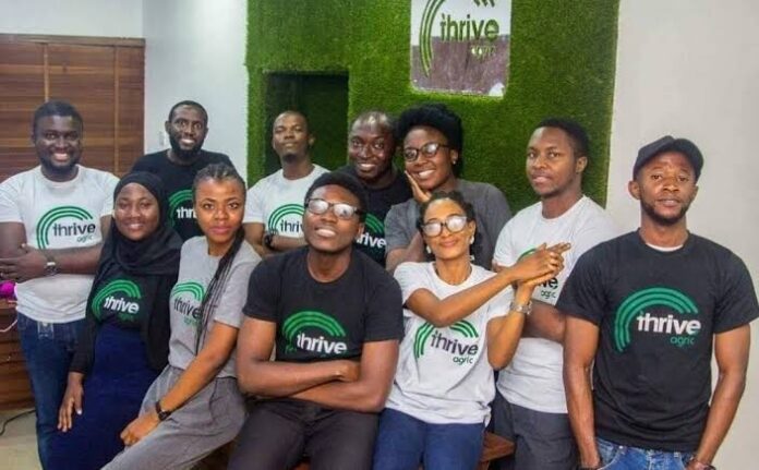 To Help One Million Small Farmers Thrive, ThriveAgric Unveils Online Marketplace