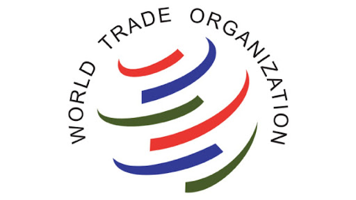 WTO Charges African Nations To Adopt Digital Technology For Trade