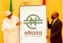 Nigeria Negotiates With Potential Partners On Best Management System For eNaira