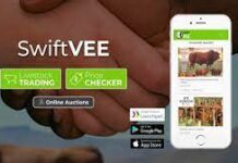 SA agri-tech startup swiftVEE launches app for farmers