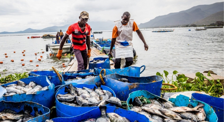 Victory Farms, a Kenyan Agritech secures $35 million Series B funding