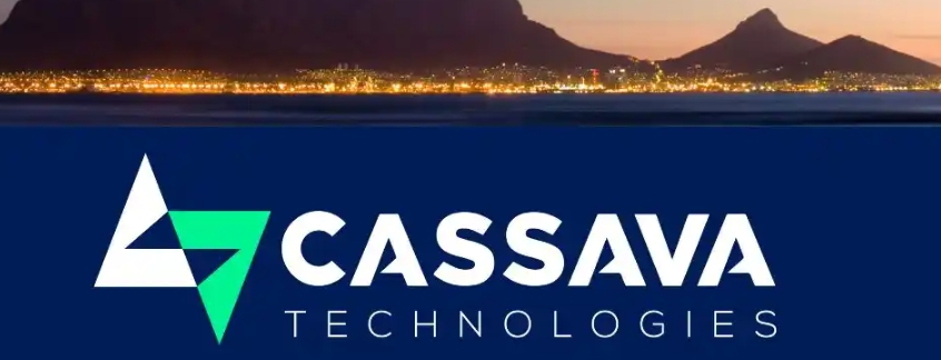 Cassava Technologies pledges $250 million to SA economy