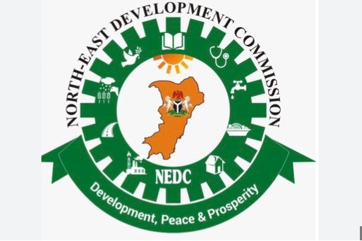 NEDC to use ICT To build capacity for job creation