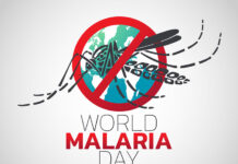 Digital health innovations can end malaria by 2030 - Experts