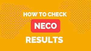 How to check your NECO result online and identify a fake result in 2023