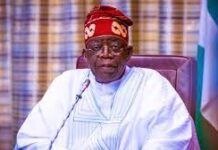 Tinubu seeks Nigerian technologists for important positions