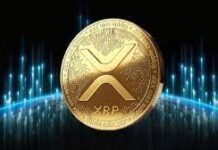 XRP price surges 65%, now 4th largest crypto