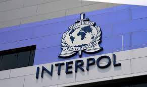 Interpol blocks 208 accounts, arrests 103 for Cyber fraud in West Africa