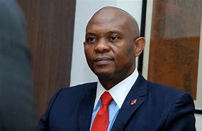 Elumelu calls for gas, power sector reforms at NBA conference