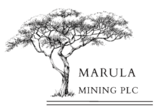 Marula Mining approves exploration programme in South Africa 