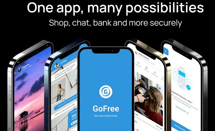 GoFree, neobank aiming to become Africa's WeChat