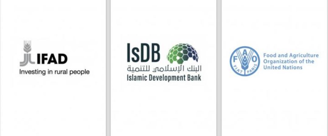 FAO, IsDB, IFAD to boost food security through technology 