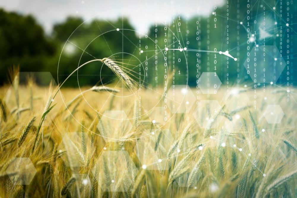 Google unveils AI intelligence facility to combat food shortages