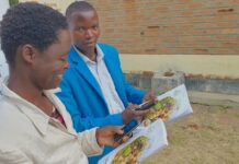 OpenHarvest to empower Malawi's farmers with digital technology