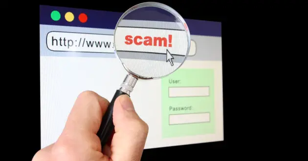 Unmasking the phantoms: how to detect scam Websites