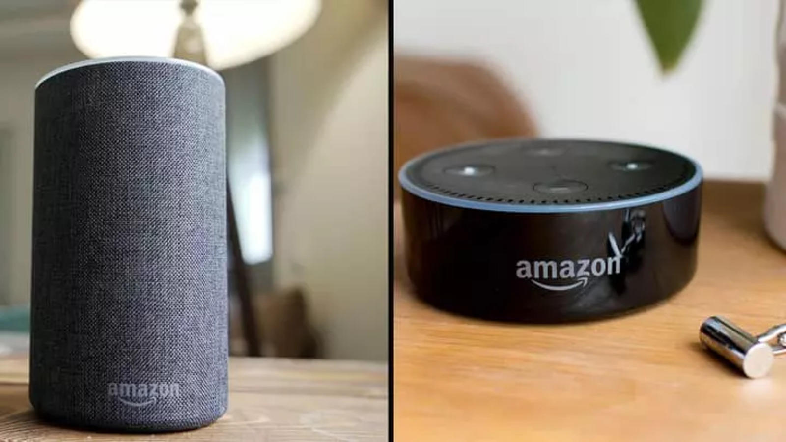 Amazon Echo leads the way in smart speakers