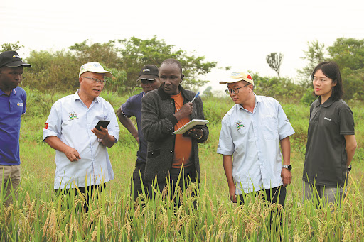 Africa gains from Chinese rice technology