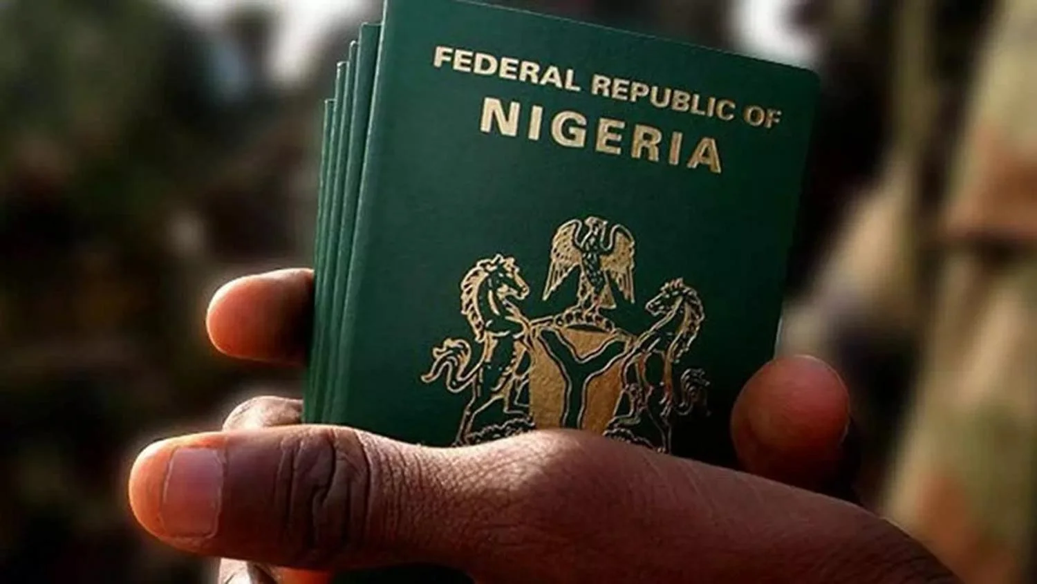 Nigeria introduces new biometric passport application