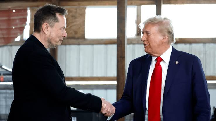 Trump appoints Elon Musk to head newly constituted govt efficiency department 