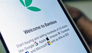 Bamboo secures U.S. licence, offers African investors access to U.S. stock market