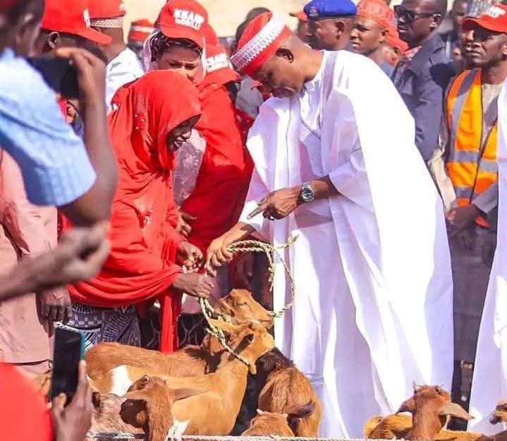 Kano Governor’s 7,158 goat empowerment scheme for women triggers backlash