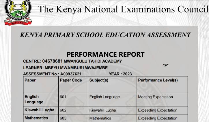 Kenya Primary School Education Assessment results out: Key details for parents